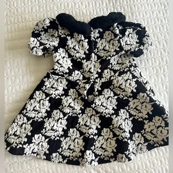 Janie and Jack 6-12 Month Jacquard Fur Neck Dress EUC